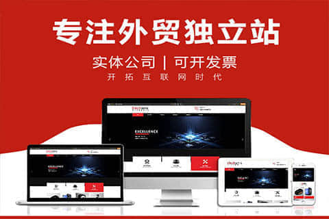 法库探索俄语网站建设的契机与挑战
